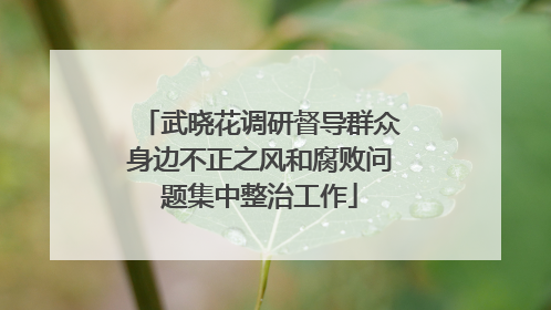 武晓花调研督导群众身边不正之风和腐败问题集中整治工作